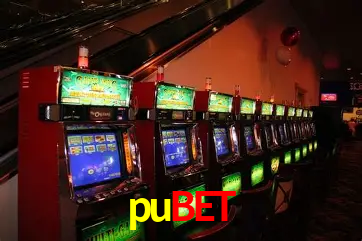 pubet Brasília - Casino Guide