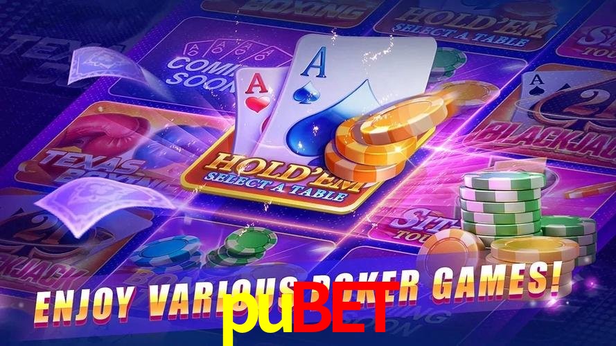 Descubra o Programa VIP da pubet: Vantagens Exclusivas para Jogadores
